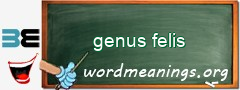 WordMeaning blackboard for genus felis